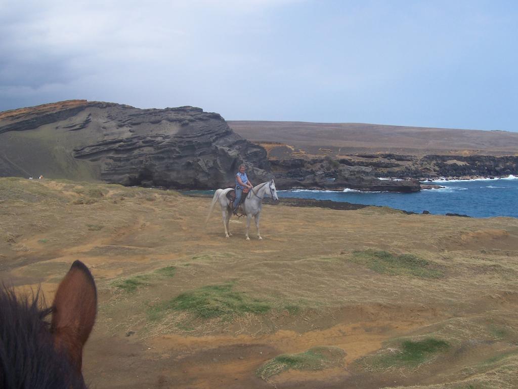Aloha Happy Place Volcano Buitenkant foto