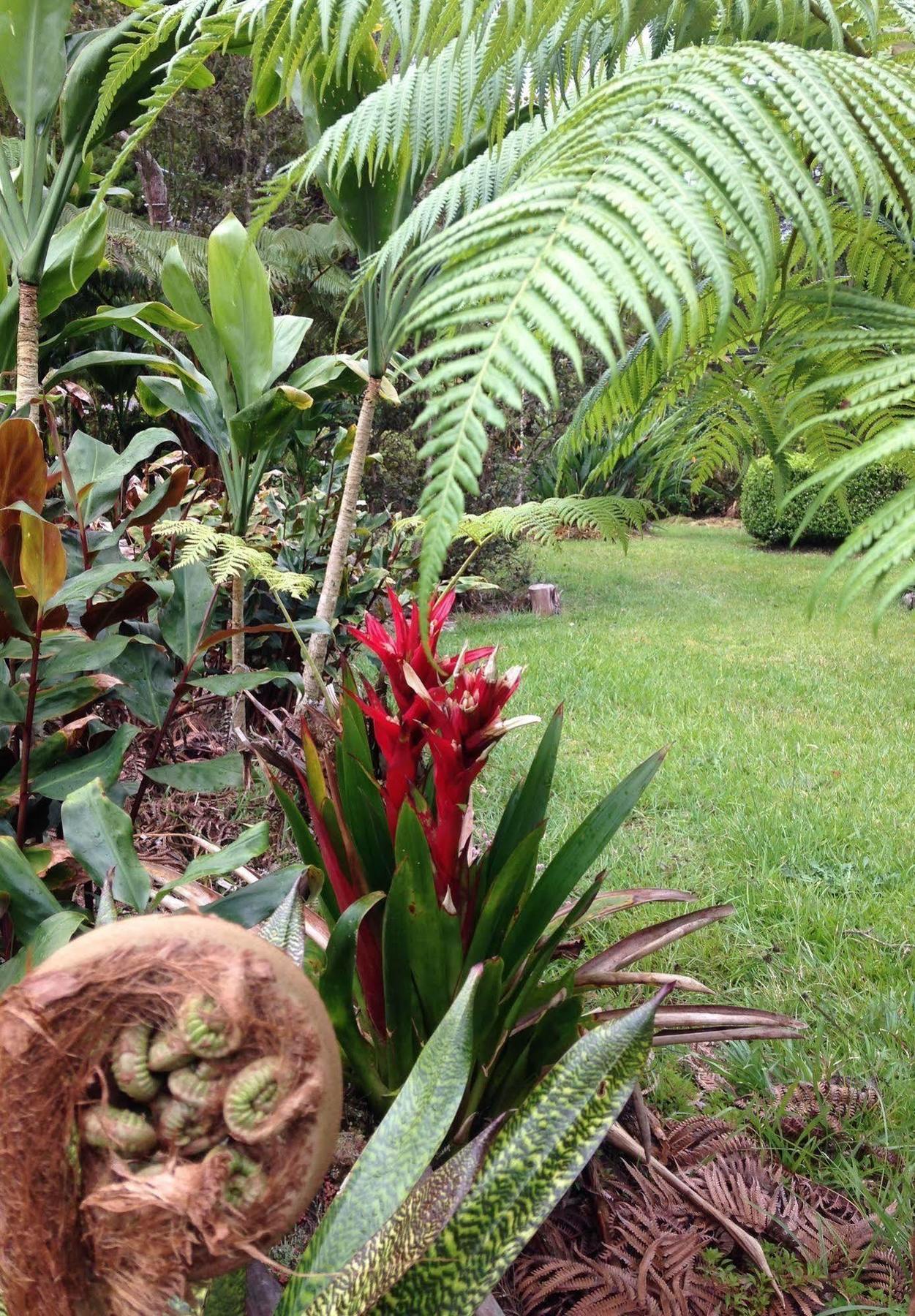 Aloha Happy Place Volcano Buitenkant foto